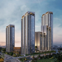 Sobha orbis