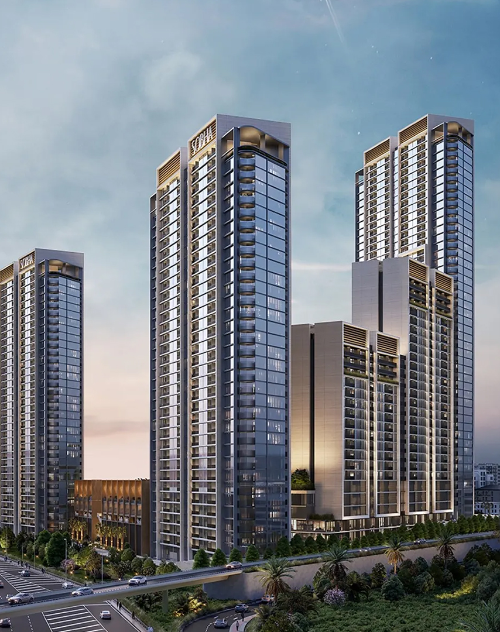 Sobha orbis