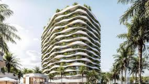 forest city 2